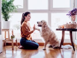 5 dicas importantes para escolher um imóvel pet friendly