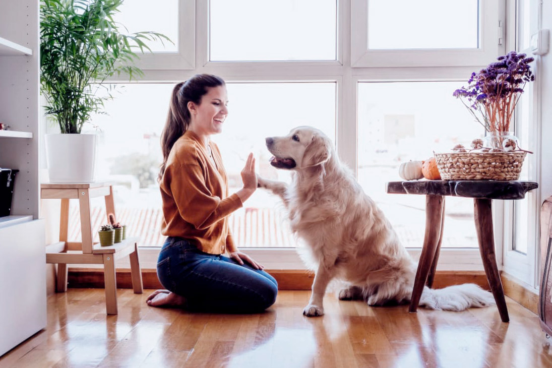 5 dicas importantes para escolher um imóvel pet friendly